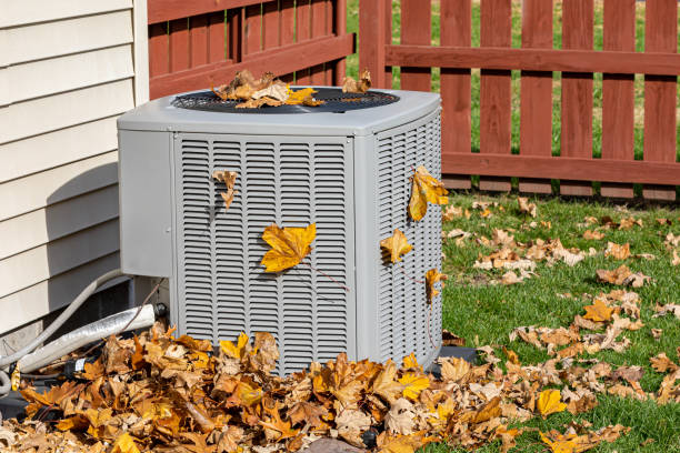 Best Air Quality Test  in Royalton, IL